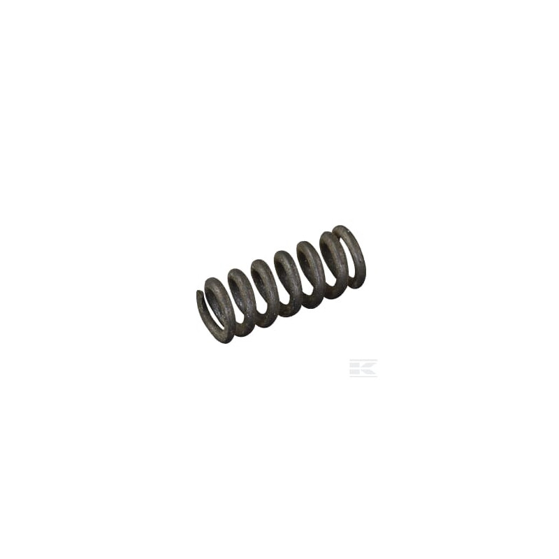 AS-Motor E03466ASM Ressort (2)