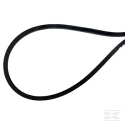 AS-Motor E06890 ASMCourroie