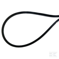AS-Motor E06890 ASMCourroie