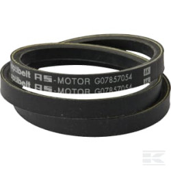 AS-Motor G07857054 Courroie trapézoïdale