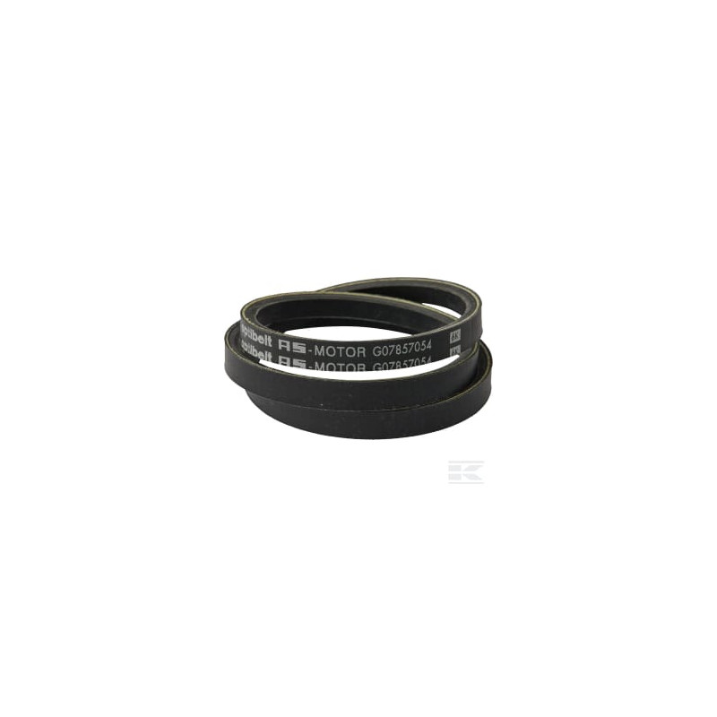 AS-Motor G07857054 Courroie trapézoïdale