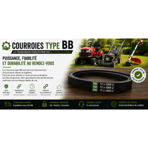 Courroies type BB