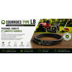 Courroies type LB