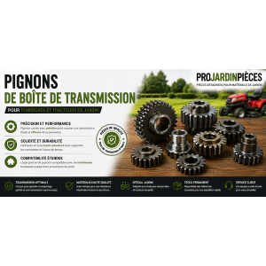 Pignons Boîte de Transmission Tondeuse | Pièces Détachées Jardin