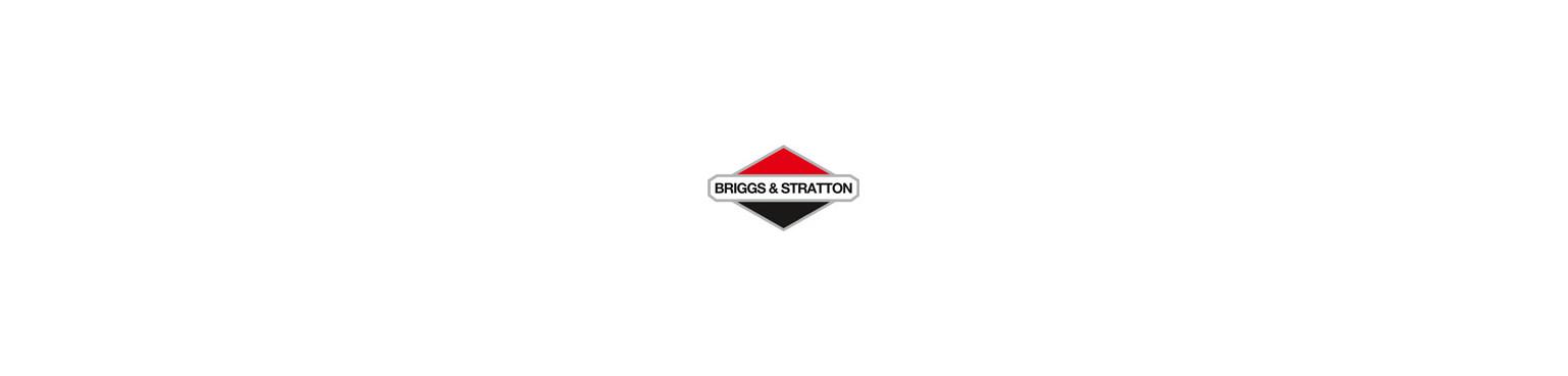 Joints d’Échappement d’Origine Briggs & Stratton