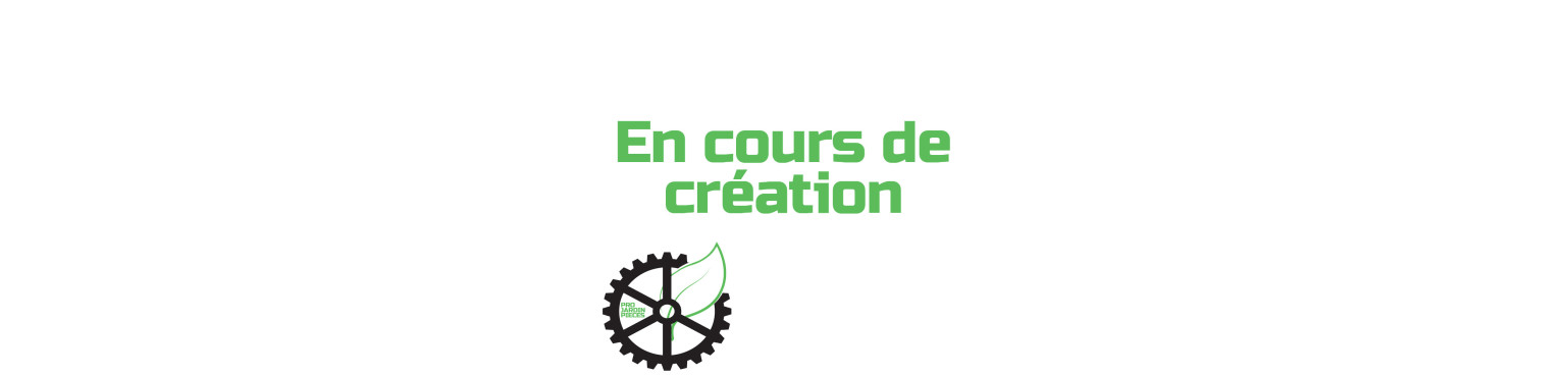 Joints Toriques d’Origine Briggs & Stratton