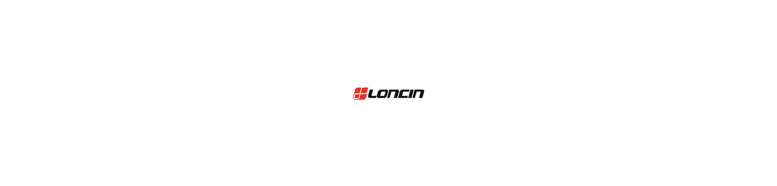 Allumage Loncin d’Origine | Bobines, Antiparasites, Modules