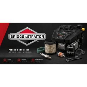 Pièces d’origine Briggs & Stratton