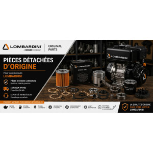 Pièces détachées moteur Lombardini | Projardinpieces